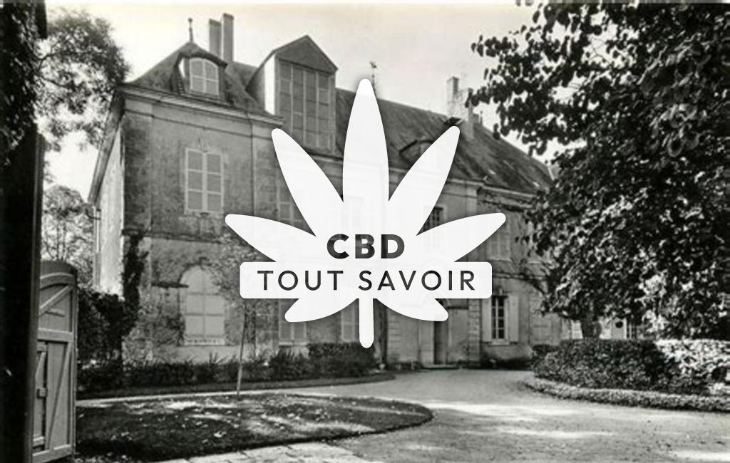 Village à Nohant-Vic avec feuille Cannabis CBD