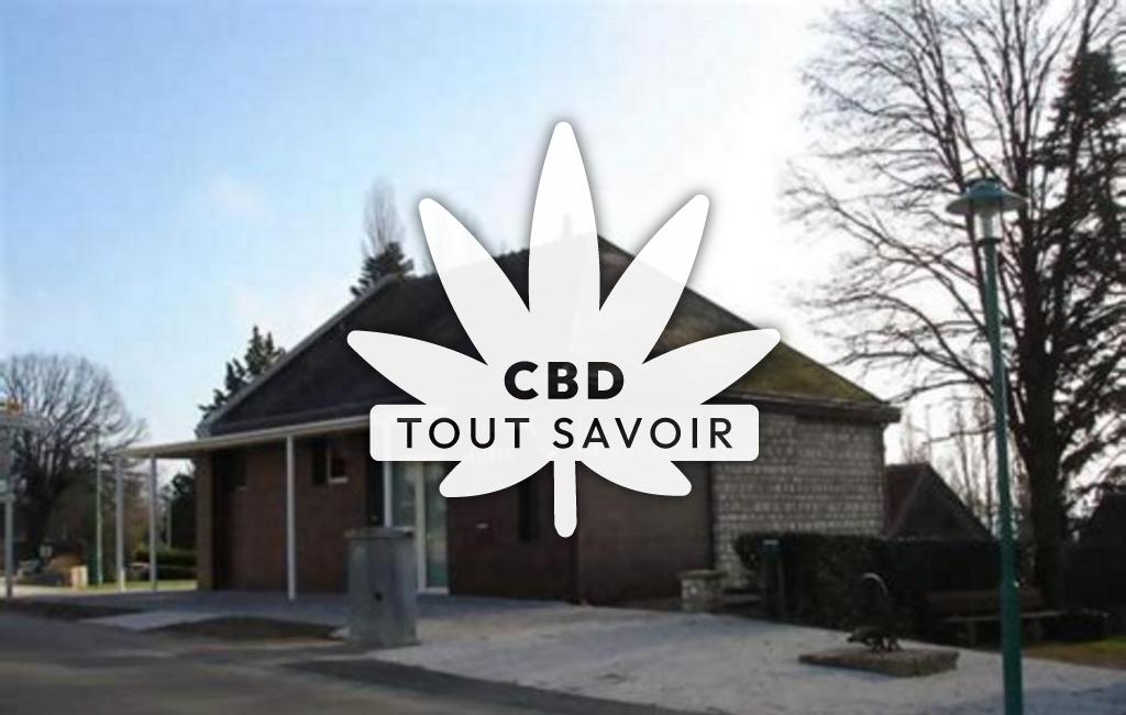 Village à Verneuil-sur-Igneraie avec feuille Cannabis CBD