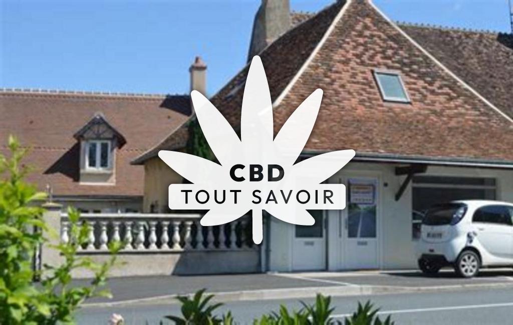 Village à Vendoeuvres avec feuille Cannabis CBD