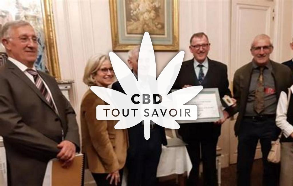 Village à Villentrois-Faverolles-en-Berry avec feuille Cannabis CBD