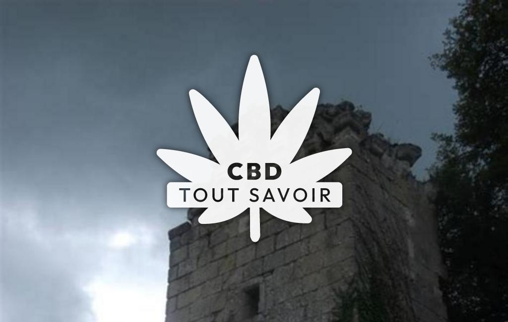 Village à Rivarennes avec feuille Cannabis CBD