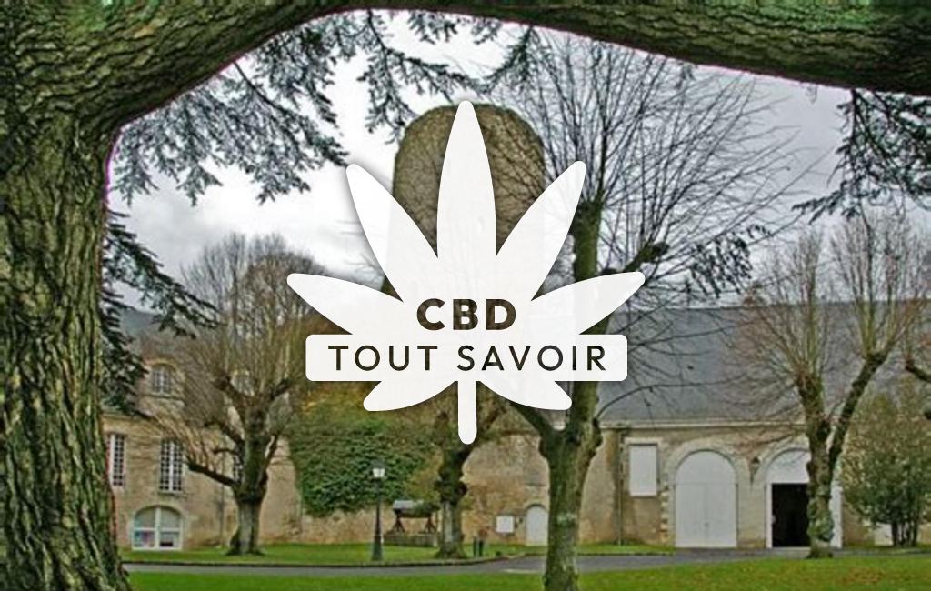 Village à Chateau-Renault avec feuille Cannabis CBD