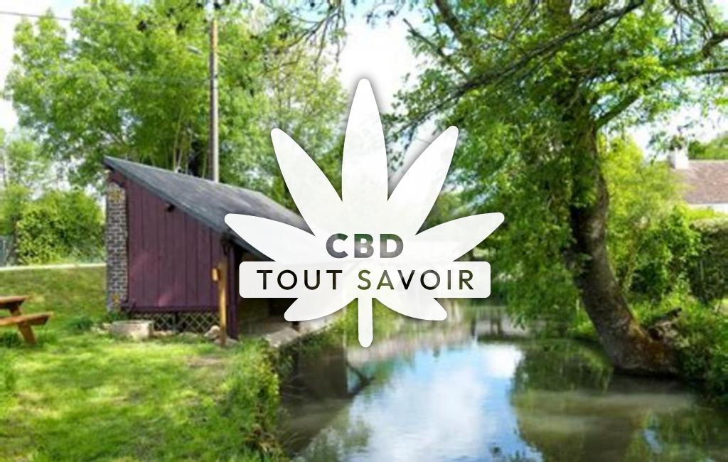 Village à Le-Boulay avec feuille Cannabis CBD