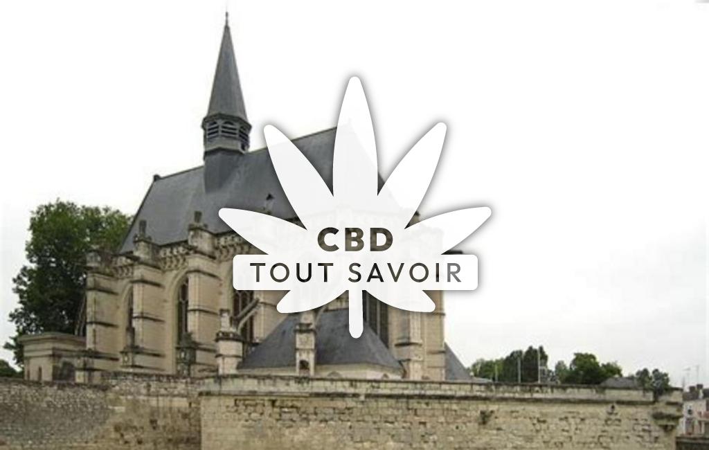 Village à Champigny-sur-Veude avec feuille Cannabis CBD