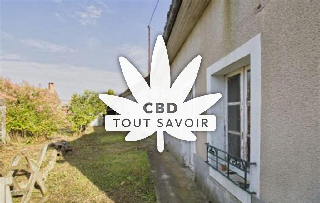 Village à Chaveignes avec feuille Cannabis CBD