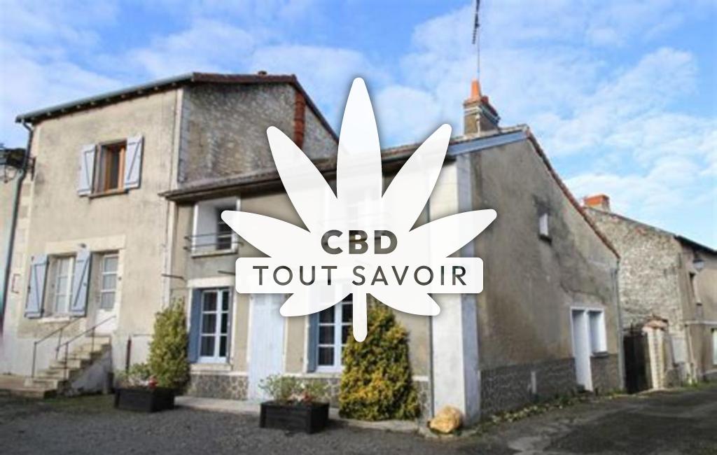 Village à Faye-la-Vineuse avec feuille Cannabis CBD