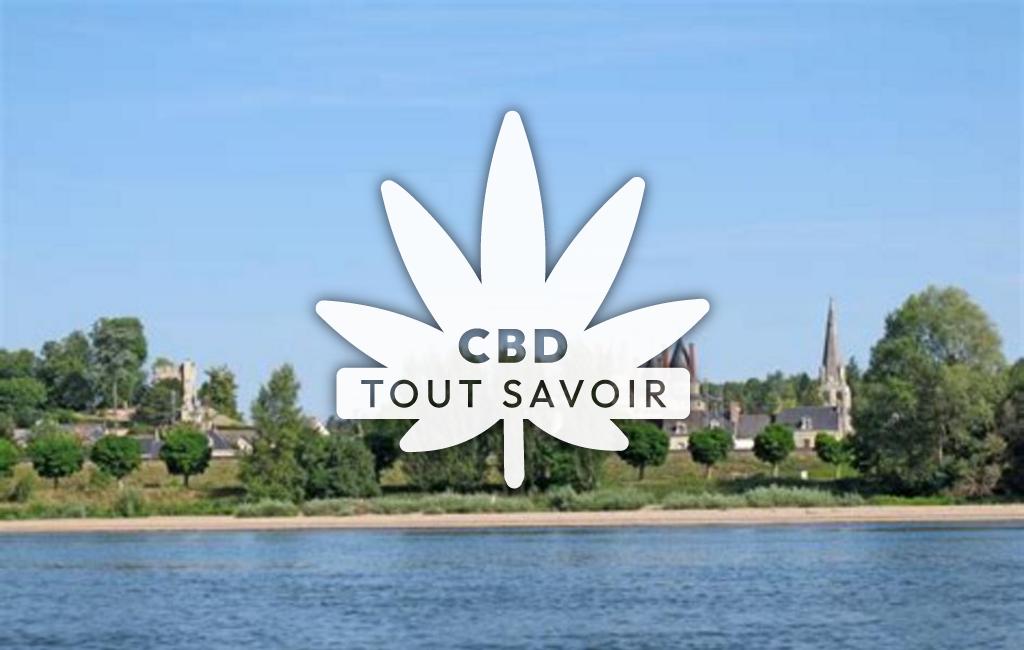 Village à La-Chapelle-aux-Naux avec feuille Cannabis CBD