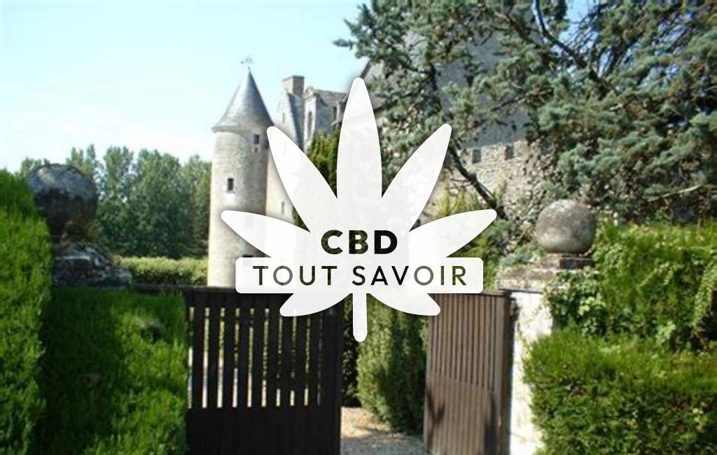 Village à Lignieres-de-Touraine avec feuille Cannabis CBD