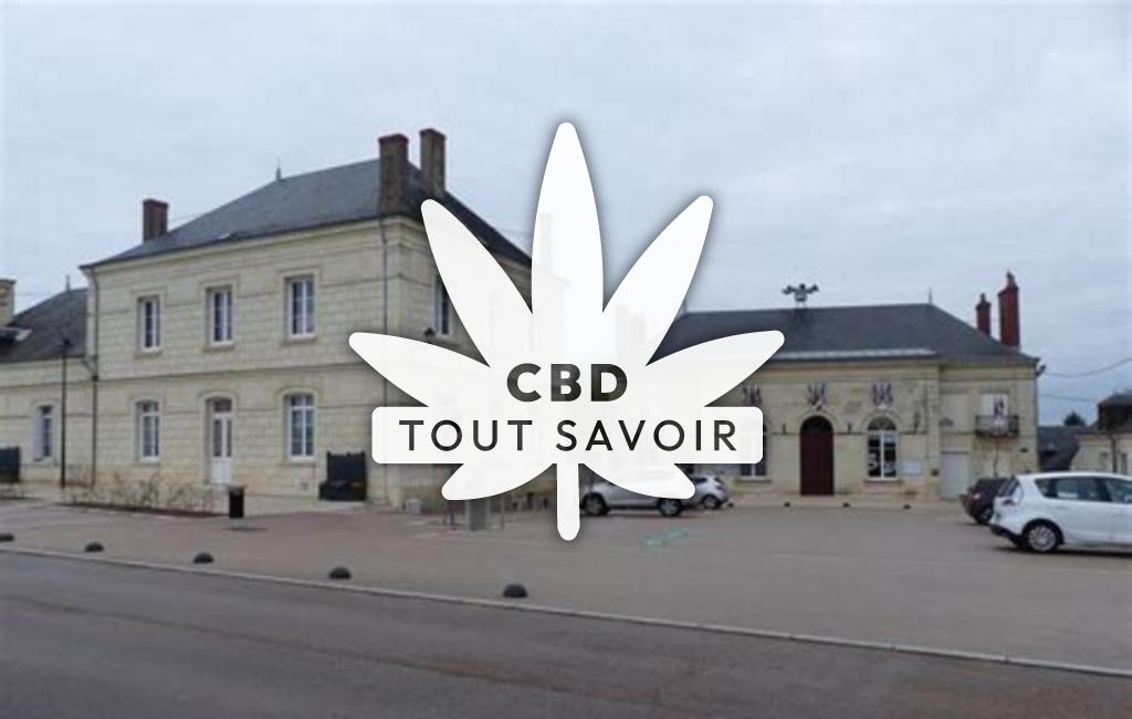 Village à La-Chapelle-sur-Loire avec feuille Cannabis CBD
