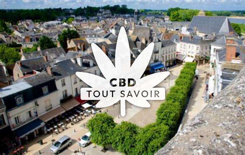 Village à Chenonceaux avec feuille Cannabis CBD