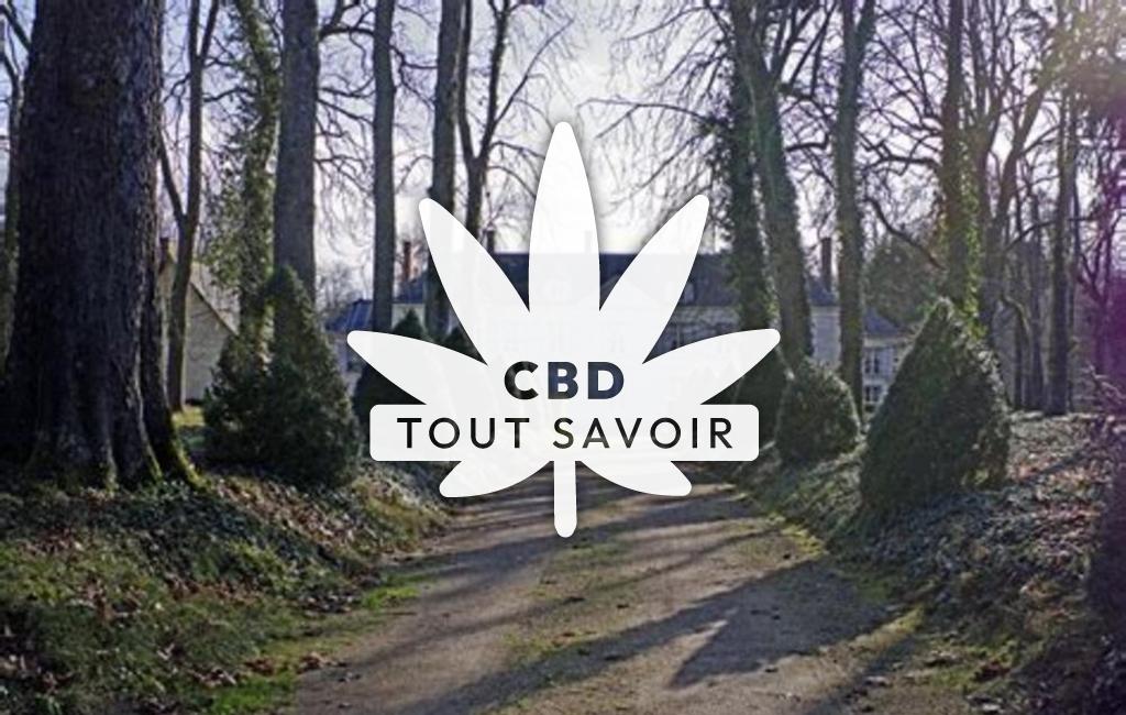 Village à Civray-de-Touraine avec feuille Cannabis CBD