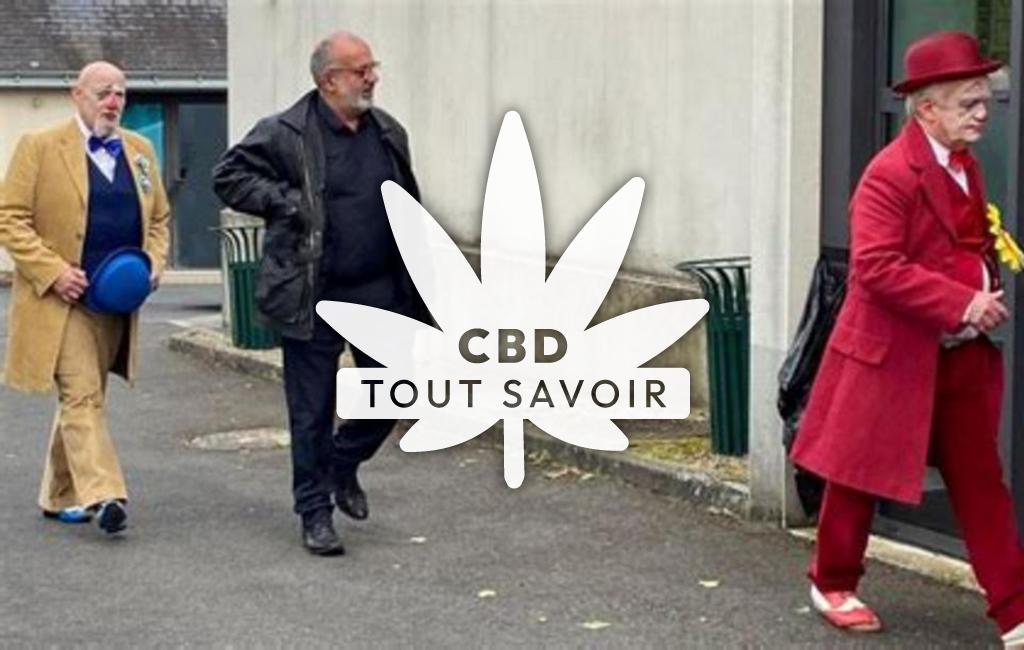 Village à Marce-sur-Esves avec feuille Cannabis CBD