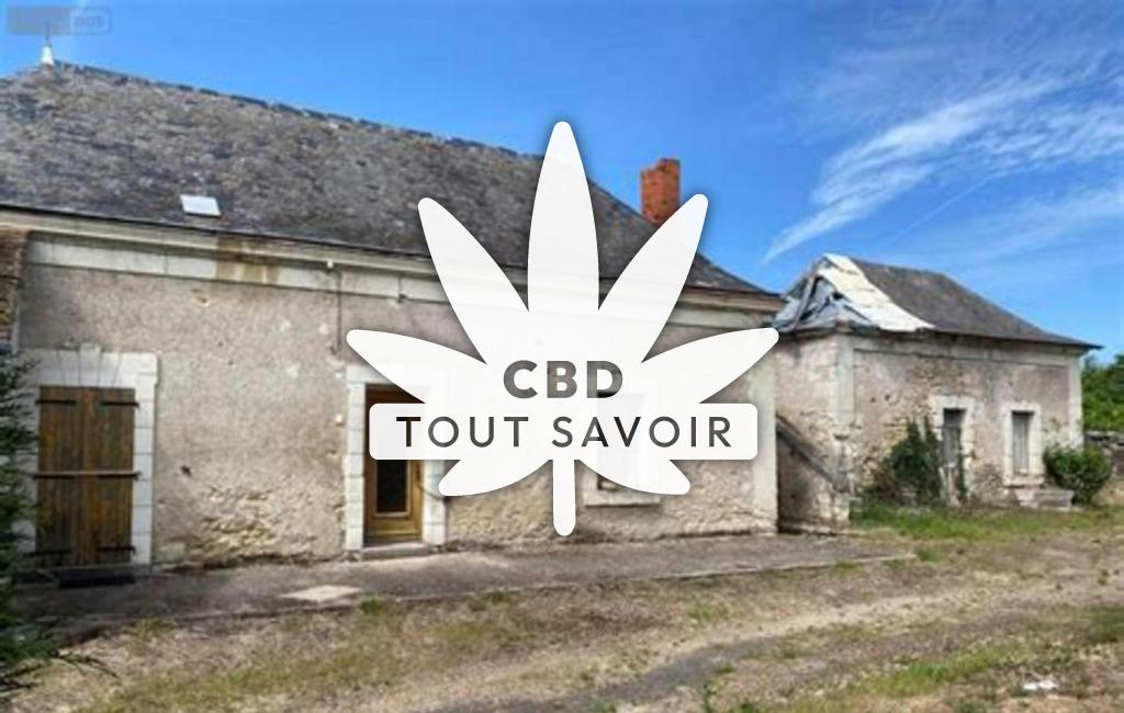 Village à Rivarennes avec feuille Cannabis CBD