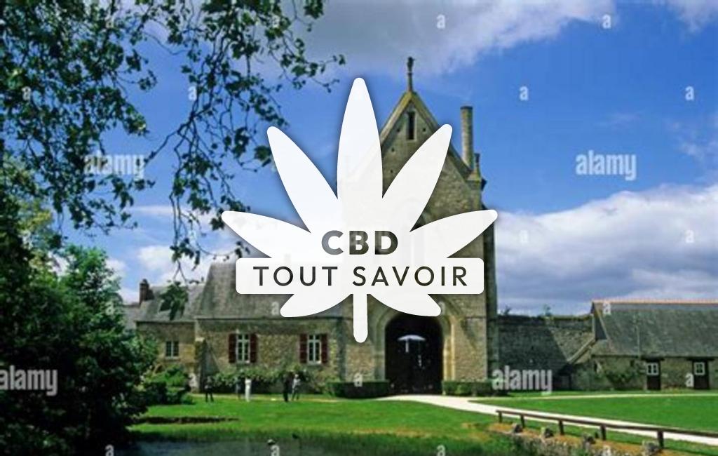 Village à Parcay-Meslay avec feuille Cannabis CBD