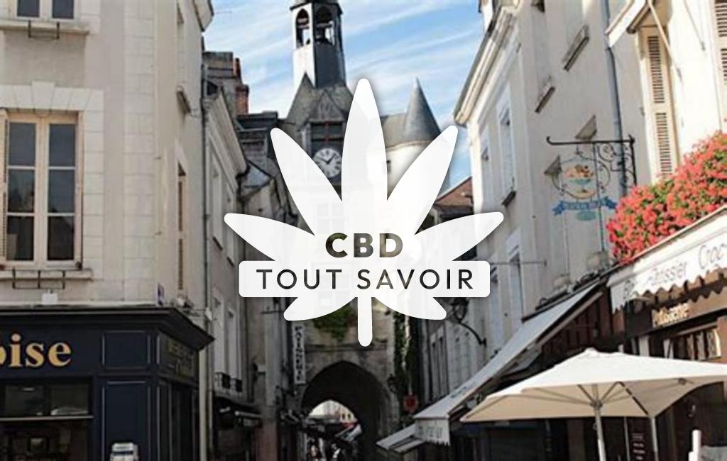 Village à Vernou-sur-Brenne avec feuille Cannabis CBD