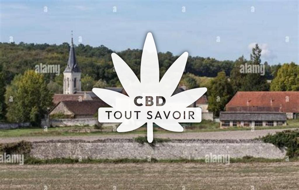 Village à Chezelles avec feuille Cannabis CBD