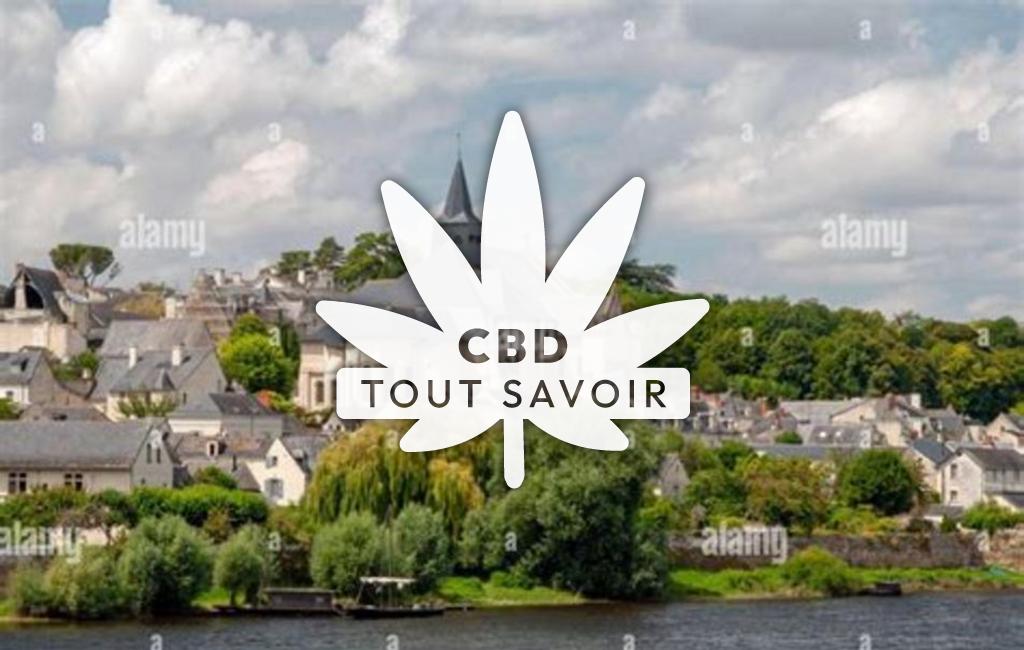 Village à La-Chapelle-Blanche-Saint-Martin avec feuille Cannabis CBD