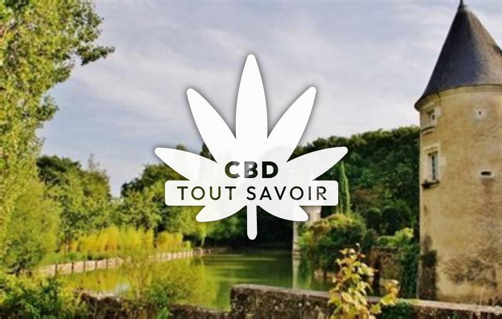 Village à Villeperdue avec feuille Cannabis CBD