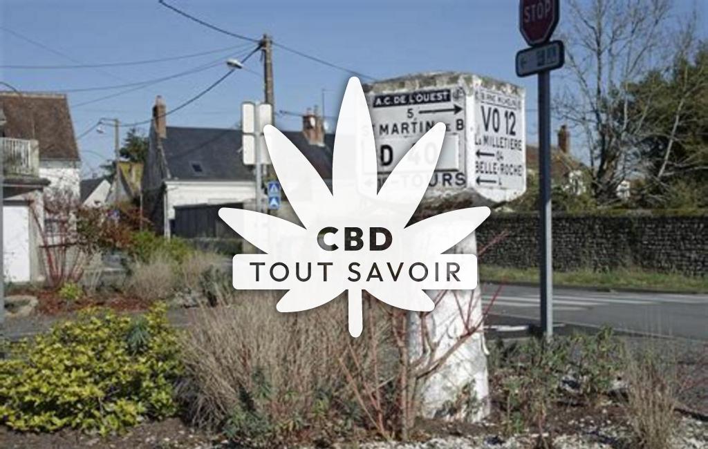 Village à Saint-Martin-le-Beau avec feuille Cannabis CBD
