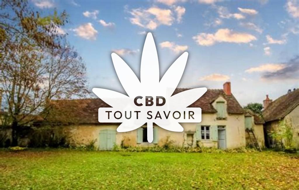 Village à Bossay-sur-Claise avec feuille Cannabis CBD