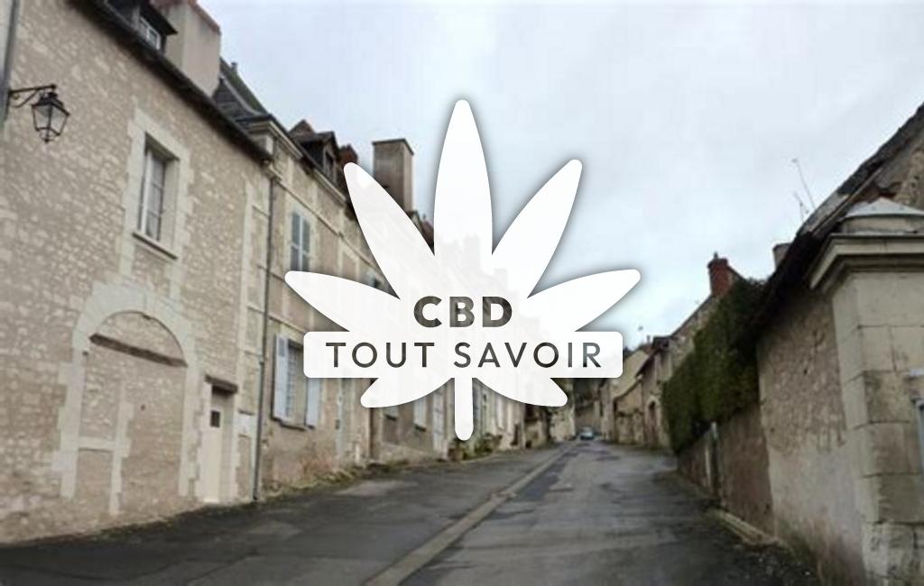 Village à Preuilly-sur-Claise avec feuille Cannabis CBD