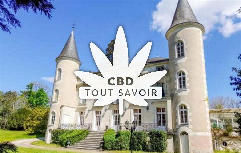 Village à Tournon-Saint-Pierre avec feuille Cannabis CBD