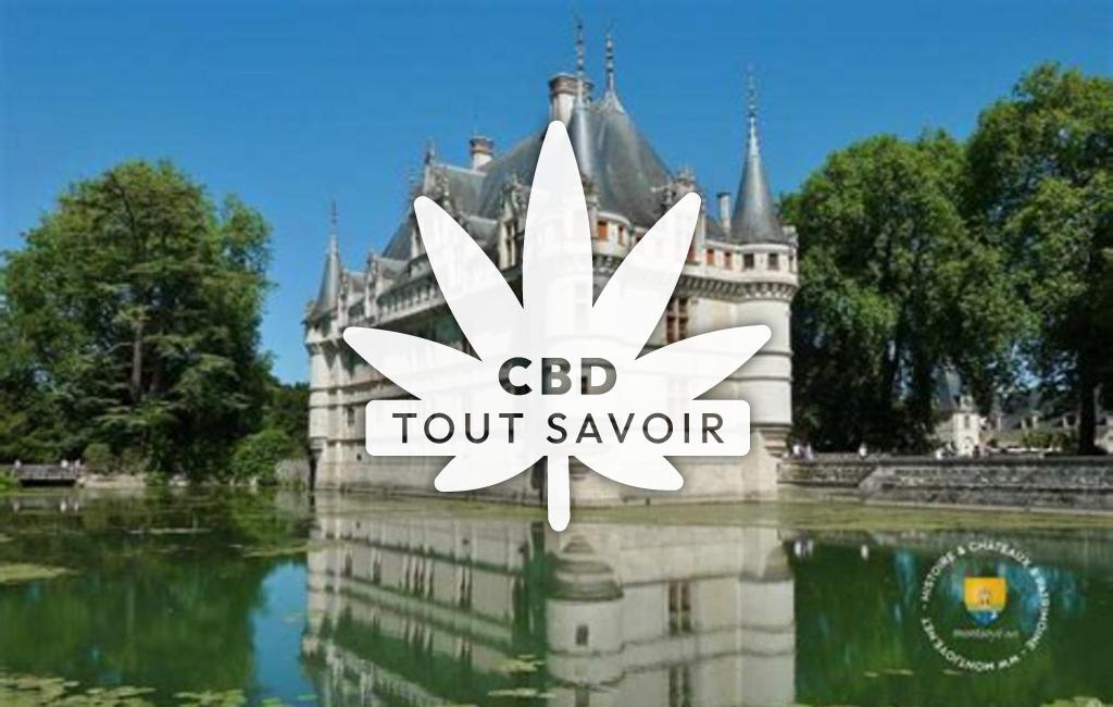 Village à Azay-sur-Indre avec feuille Cannabis CBD