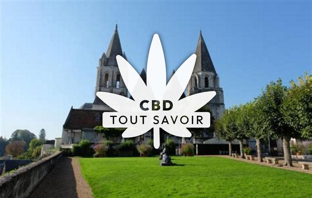 Village à Chambourg-sur-Indre avec feuille Cannabis CBD