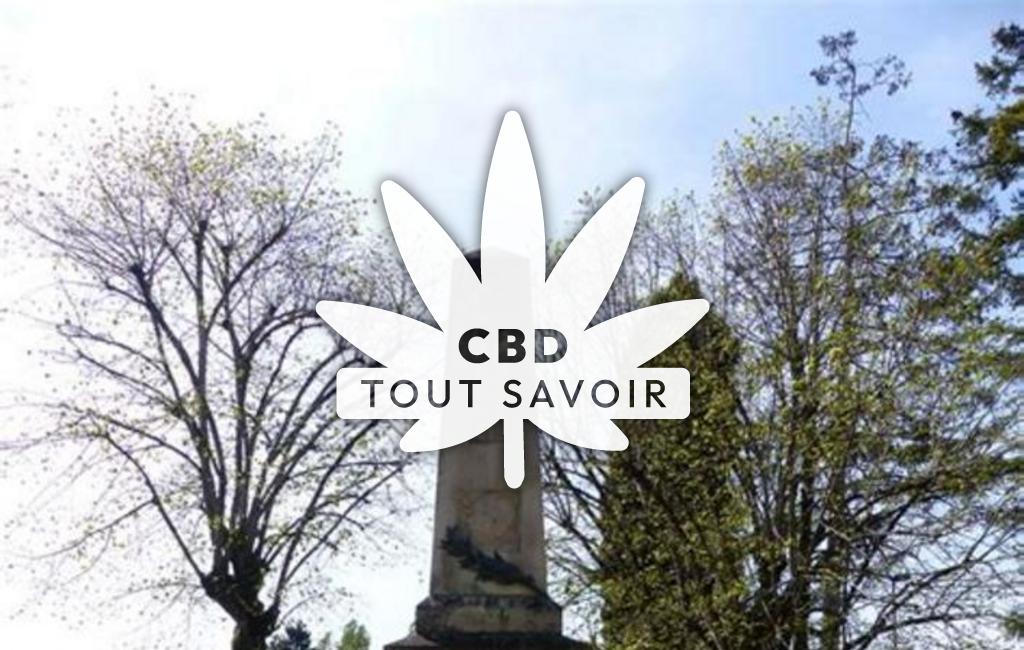 Village à Saint-Quentin-sur-Indrois avec feuille Cannabis CBD