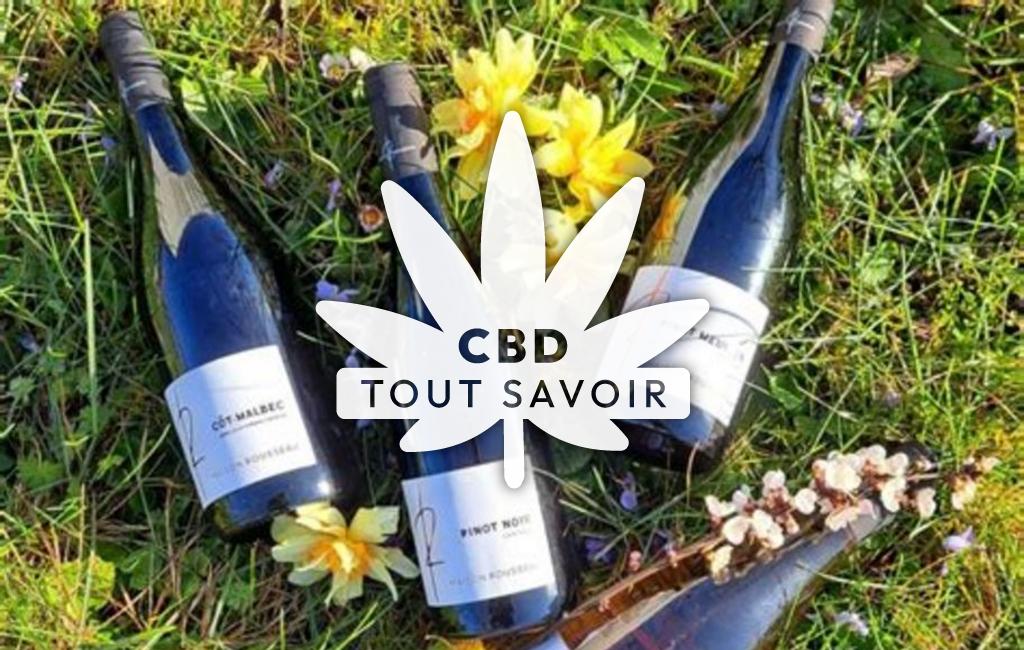 Village à Esvres avec feuille Cannabis CBD