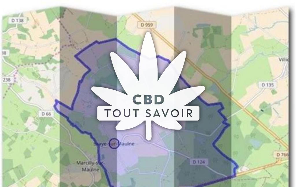 Village à Braye-sur-Maulne avec feuille Cannabis CBD
