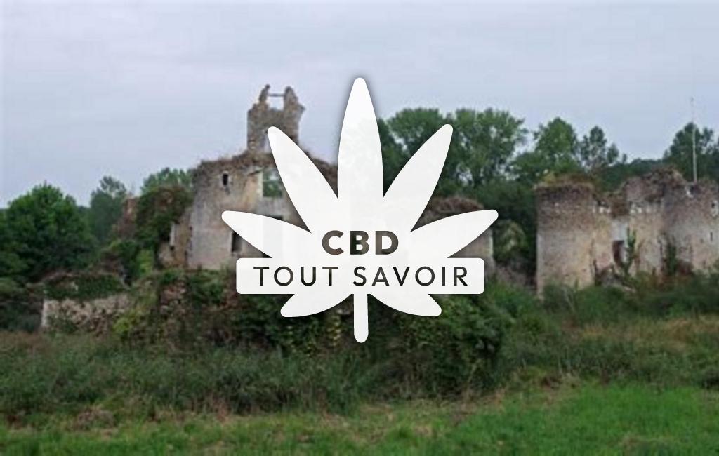 Village à Chateau-la-Valliere avec feuille Cannabis CBD