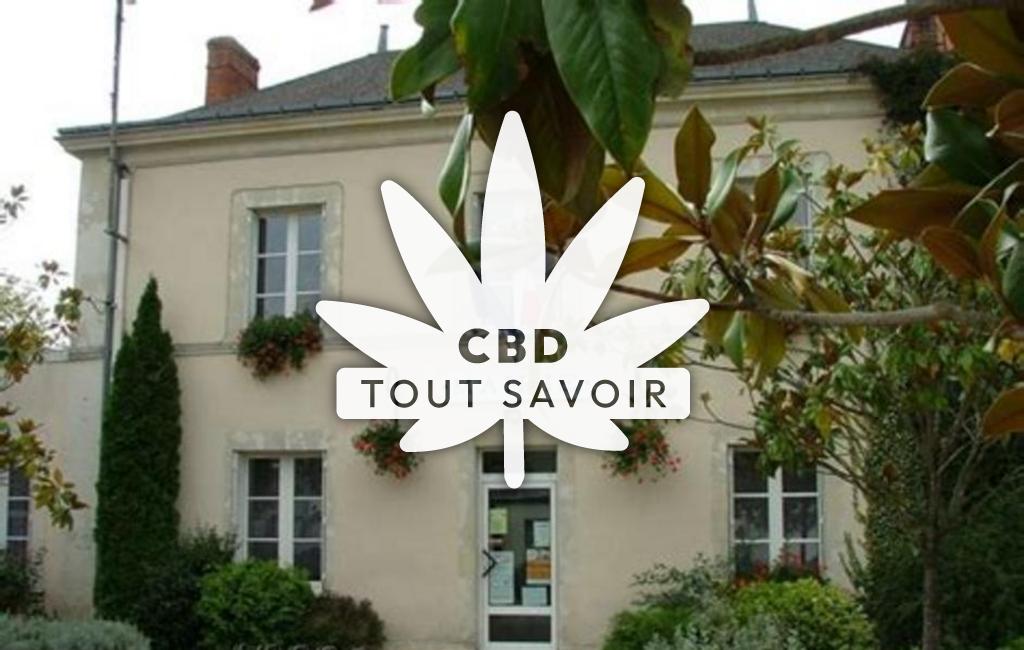 Village à Ambillou avec feuille Cannabis CBD
