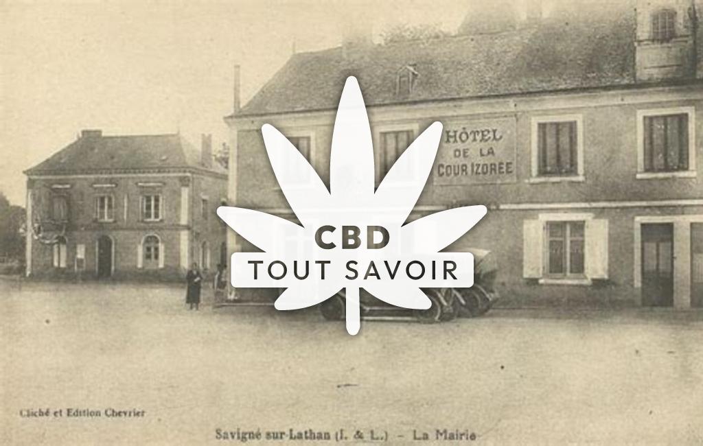 Village à Savigne-sur-Lathan avec feuille Cannabis CBD