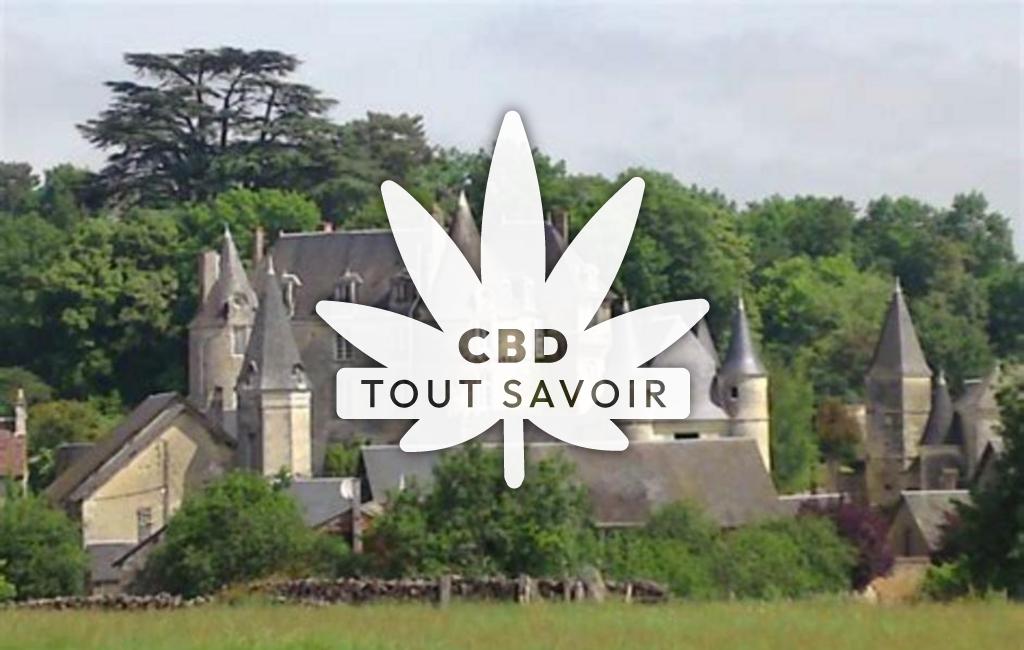 Village à La-Celle-Guenand avec feuille Cannabis CBD