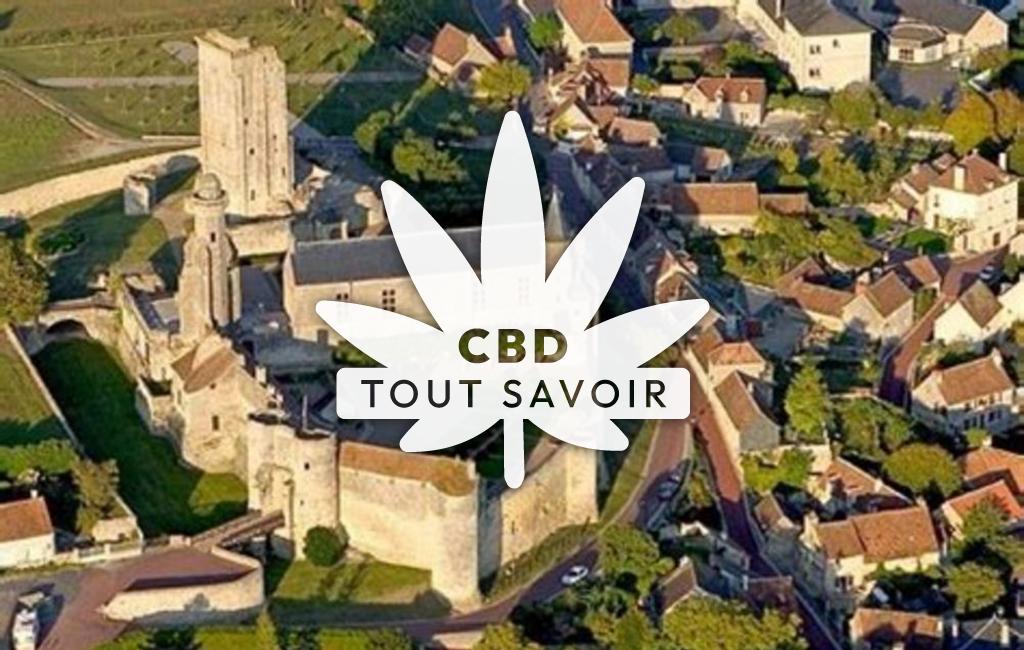 Village à Le-Grand-Pressigny avec feuille Cannabis CBD