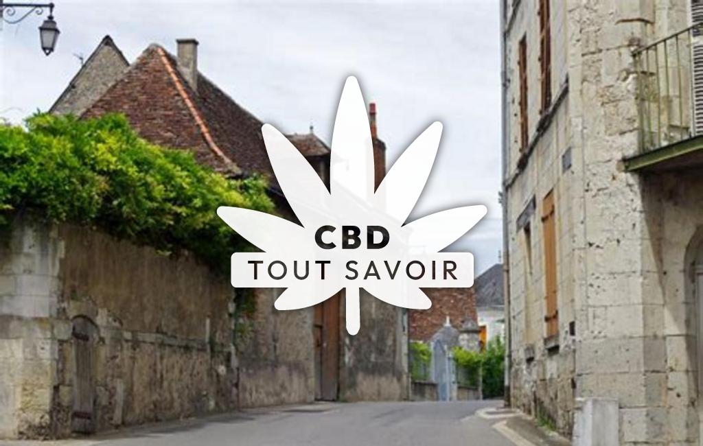 Village à Le-Petit-Pressigny avec feuille Cannabis CBD