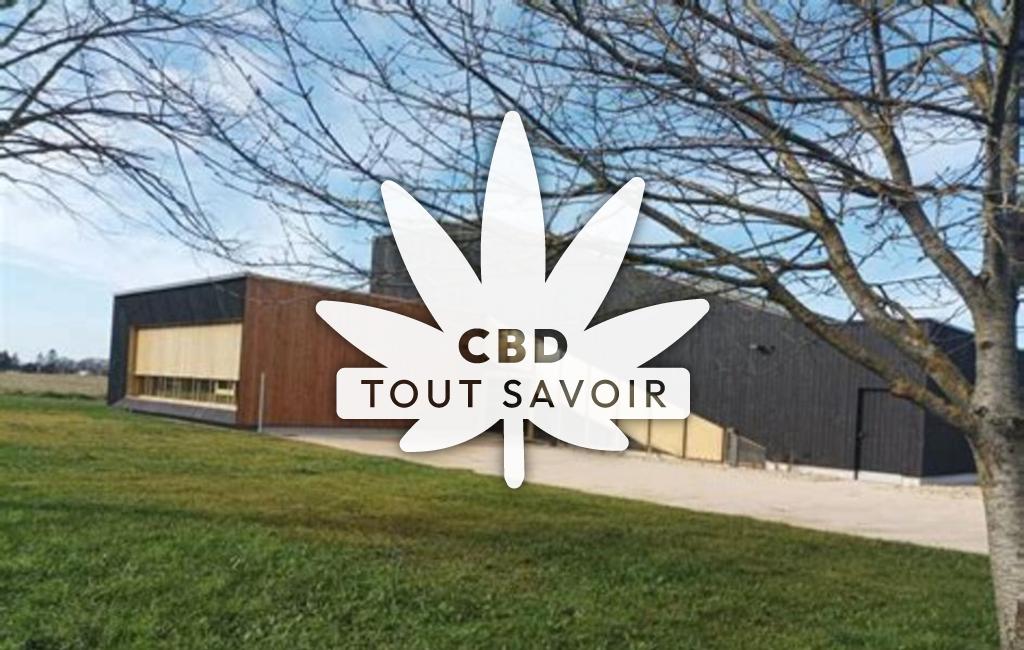 Village à Neuille-Pont-Pierre avec feuille Cannabis CBD