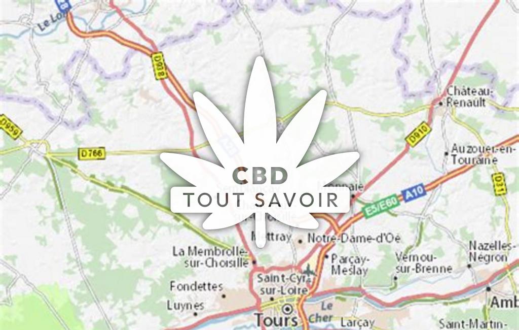 Village à Rouziers-de-Touraine avec feuille Cannabis CBD