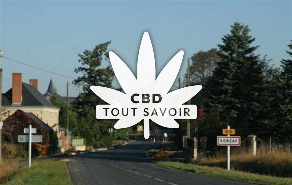 Village à Sonzay avec feuille Cannabis CBD