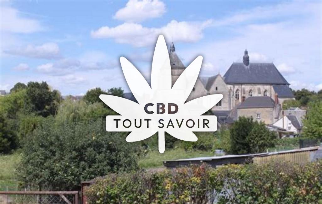 Village à Bueil-en-Touraine avec feuille Cannabis CBD