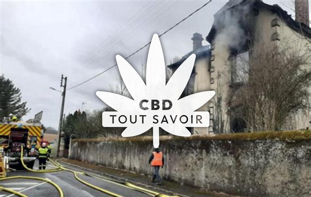 Village à Neuvy-le-Roi avec feuille Cannabis CBD