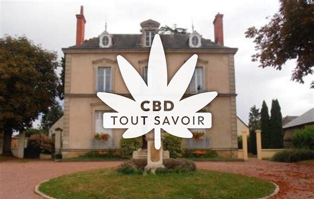 Village à Saint-Paterne-Racan avec feuille Cannabis CBD