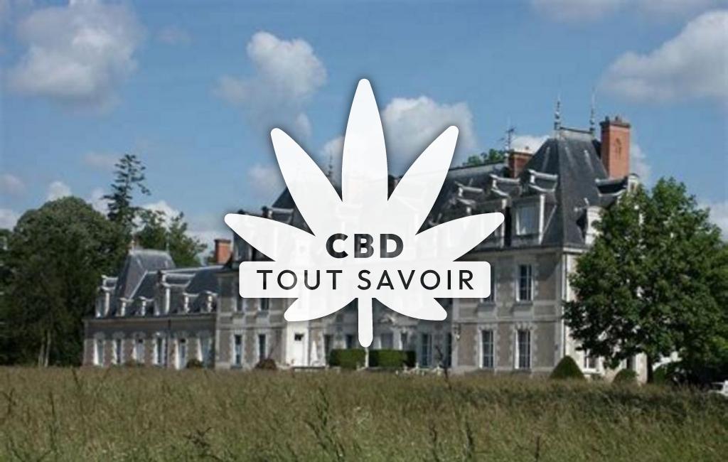 Village à Monnaie avec feuille Cannabis CBD