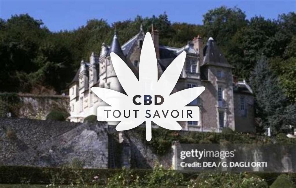 Village à Reugny avec feuille Cannabis CBD