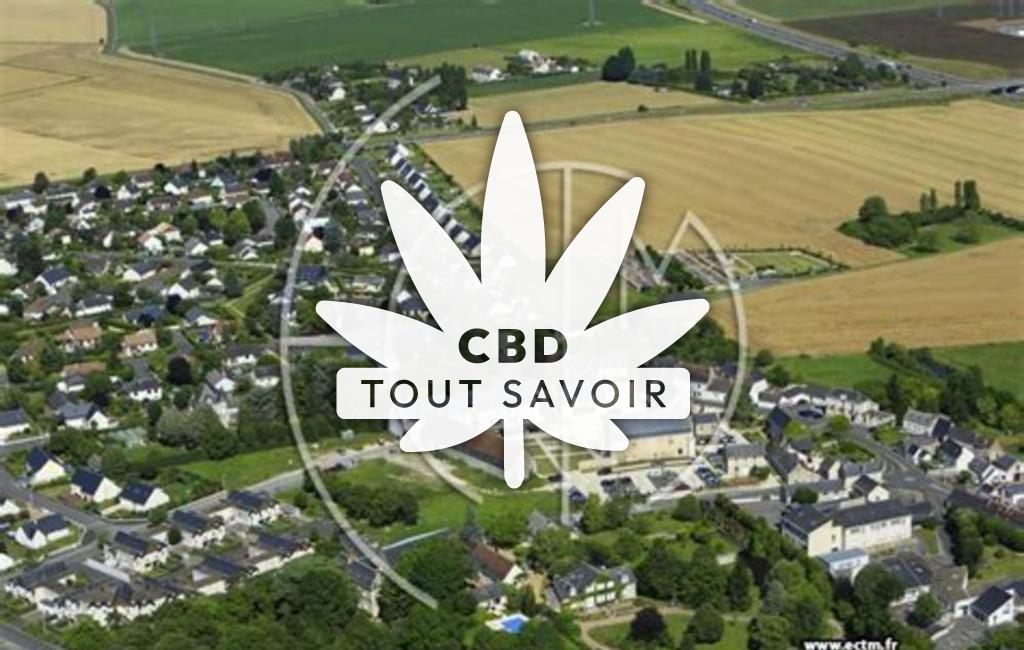 Village à Chanceaux-sur-Choisille avec feuille Cannabis CBD