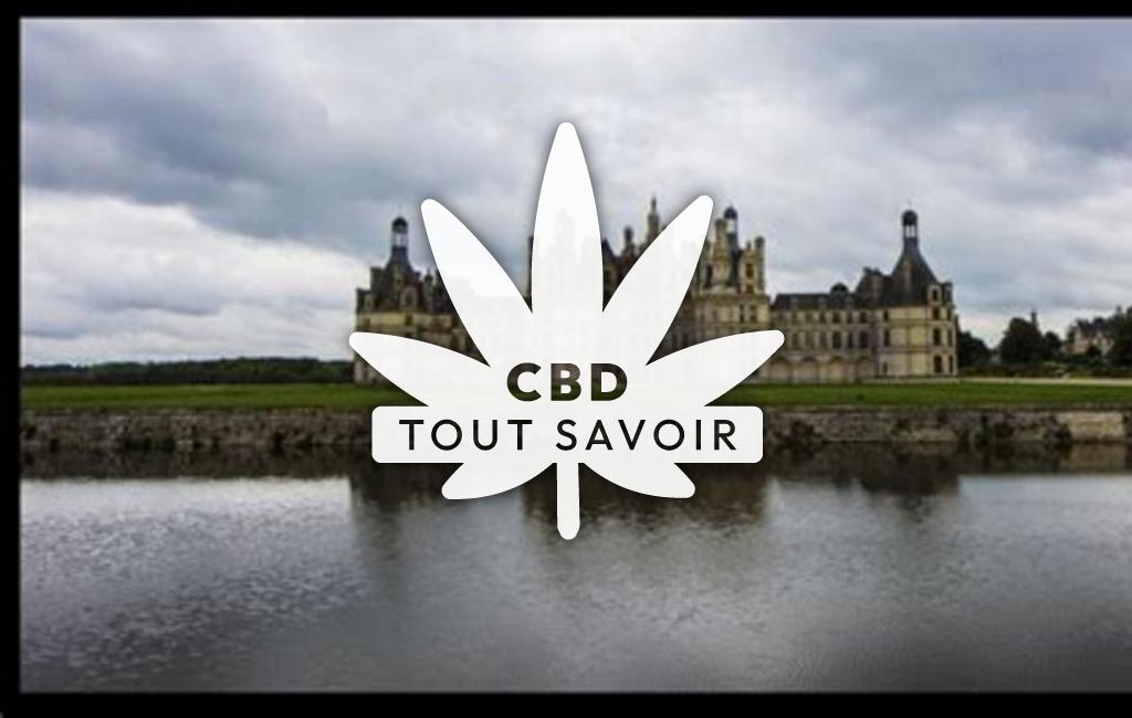 Village à Lussault-sur-Loire avec feuille Cannabis CBD