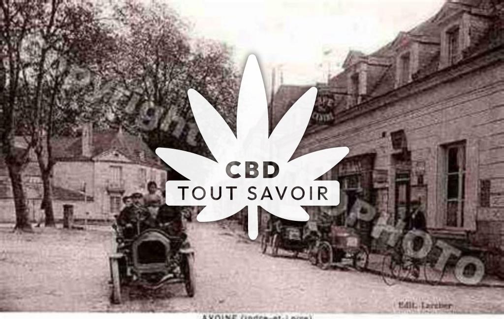 Village à Avoine avec feuille Cannabis CBD