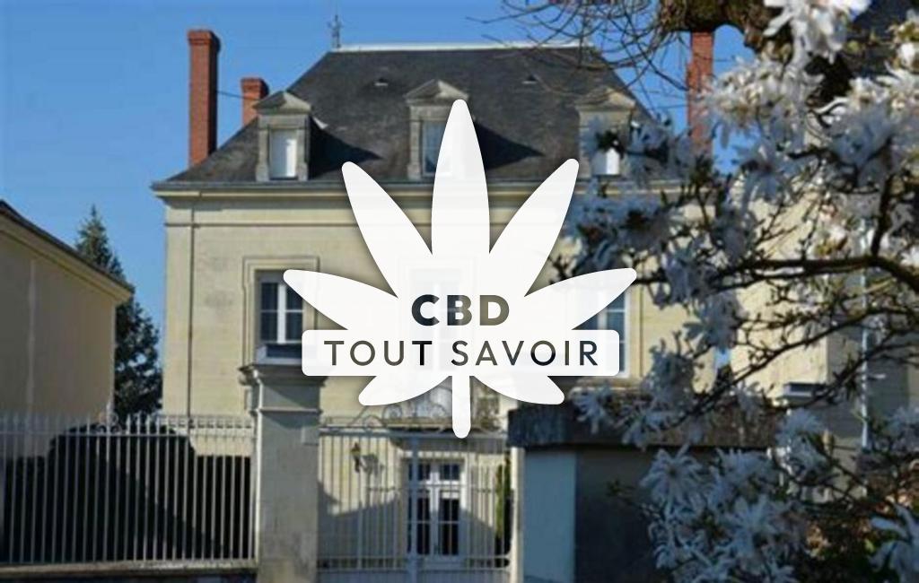 Village à Beaumont-en-Veron avec feuille Cannabis CBD