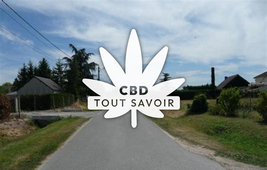 Village à Savigny-en-Veron avec feuille Cannabis CBD